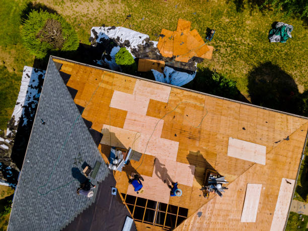 Best Flat Roof Repair Services  in Cameron Park, TX
