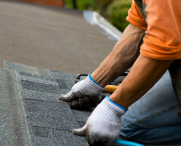 Best Shingle Roofing Installation  in Cameron Park, TX